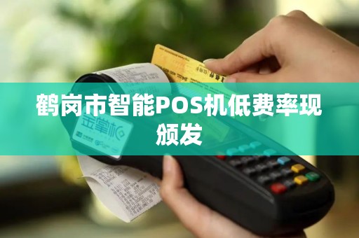 鹤岗市智能POS机低费率现颁发