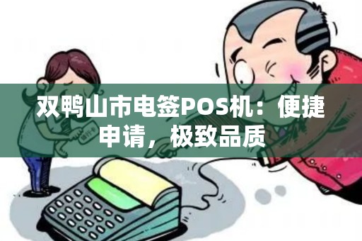双鸭山市电签POS机：便捷申请，极致品质