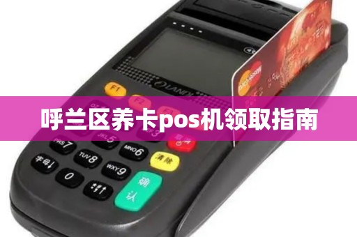 呼兰区养卡pos机领取指南