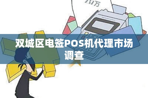 双城区电签POS机代理市场调查