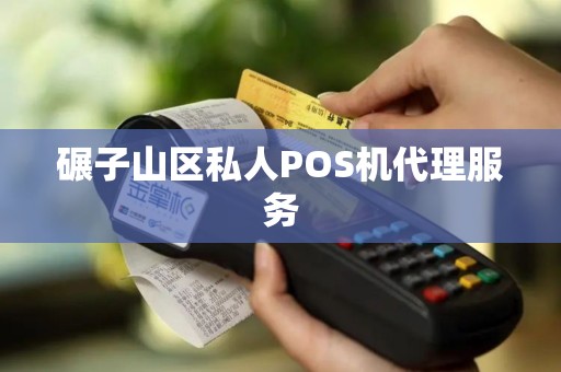 碾子山区私人POS机代理服务