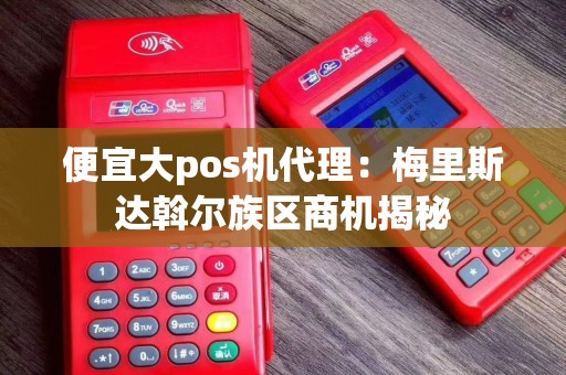 便宜大pos机代理：梅里斯达斡尔族区商机揭秘