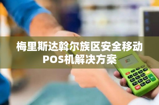梅里斯达斡尔族区安全移动POS机解决方案