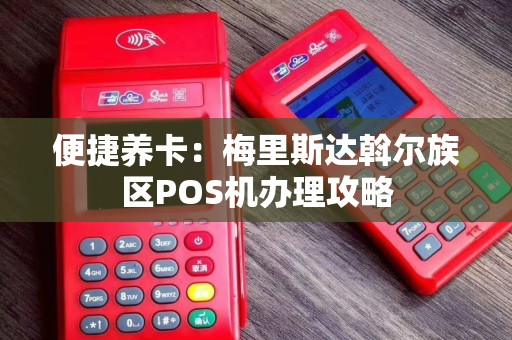 便捷养卡：梅里斯达斡尔族区POS机办理攻略