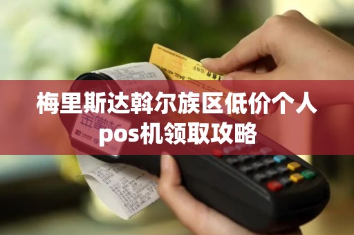 梅里斯达斡尔族区低价个人pos机领取攻略