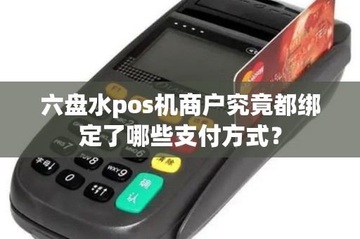 六盘水pos机商户究竟都绑定了哪些支付方式？