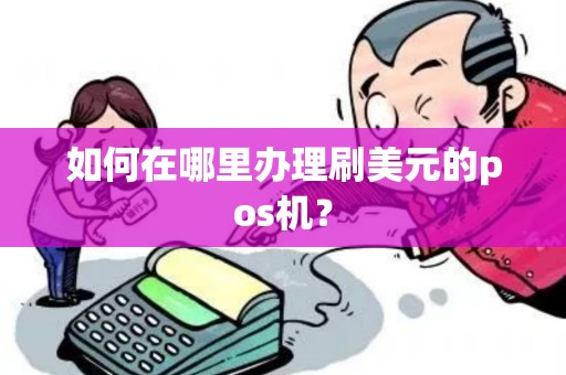 如何在哪里办理刷美元的pos机？