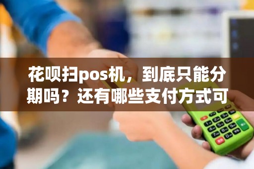 花呗扫pos机，到底只能分期吗？还有哪些支付方式可以选择呢？