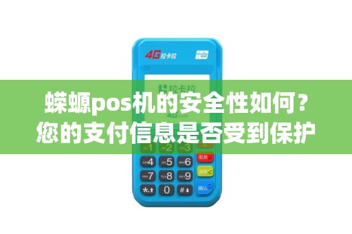 蝾螈pos机的安全性如何？您的支付信息是否受到保护？