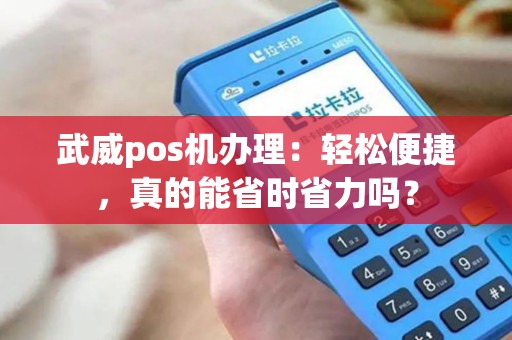 武威pos机办理：轻松便捷，真的能省时省力吗？