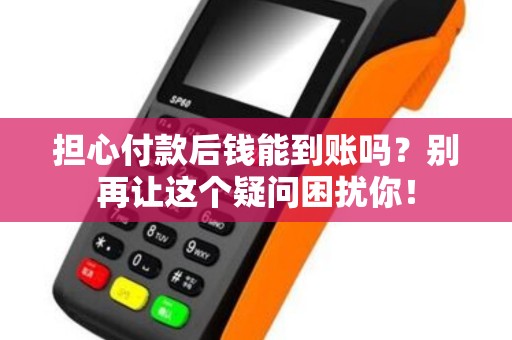 担心付款后钱能到账吗？别再让这个疑问困扰你！