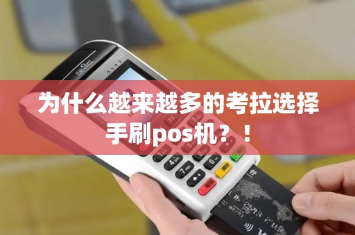 为什么越来越多的考拉选择手刷pos机？！