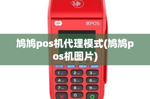 鸠鸠pos机代理模式(鸠鸠pos机图片)