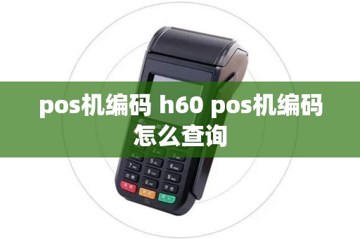 pos机编码 h60 pos机编码怎么查询