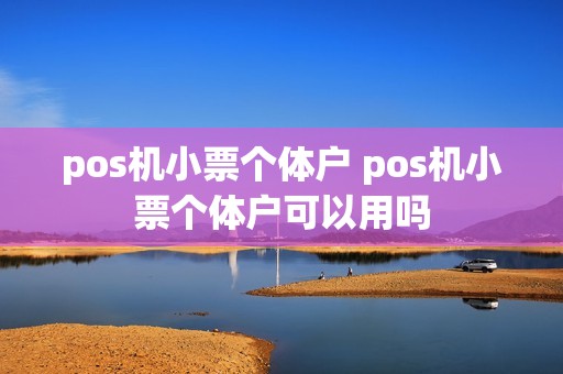 pos机小票个体户 pos机小票个体户可以用吗