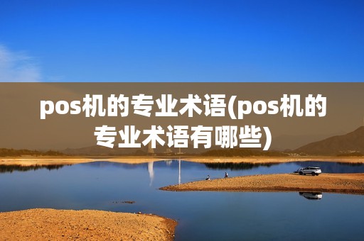 pos机的专业术语(pos机的专业术语有哪些)