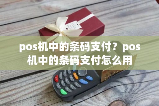 pos机中的条码支付？pos机中的条码支付怎么用