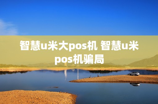 智慧u米大pos机 智慧u米pos机骗局