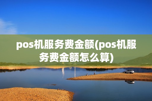 pos机服务费金额(pos机服务费金额怎么算)