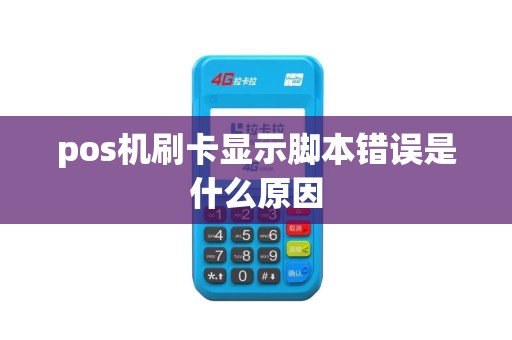 pos机刷卡显示脚本错误是什么原因
