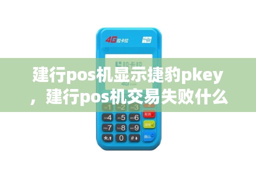 建行pos机显示捷豹pkey，建行pos机交易失败什么意思