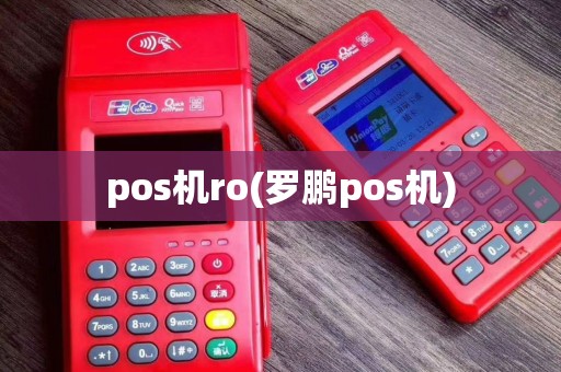 pos机ro(罗鹏pos机)