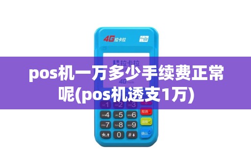 pos机一万多少手续费正常呢(pos机透支1万)