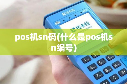 pos机sn码(什么是pos机sn编号)