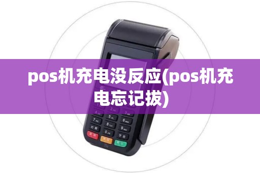 pos机充电没反应(pos机充电忘记拔)