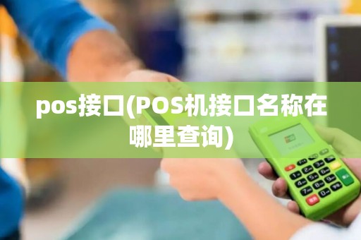 pos接口(POS机接口名称在哪里查询)