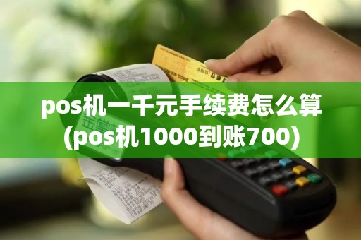 pos机一千元手续费怎么算(pos机1000到账700)