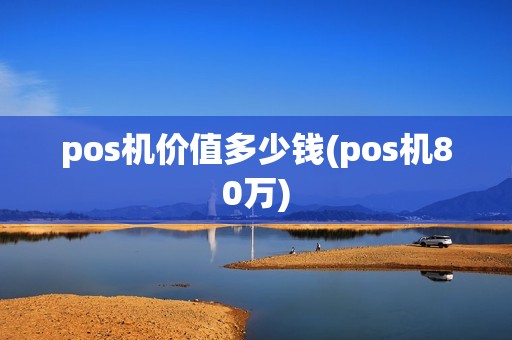 pos机价值多少钱(pos机80万)