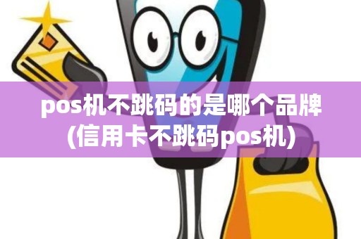 pos机不跳码的是哪个品牌(信用卡不跳码pos机)