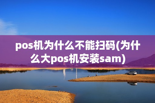 pos机为什么不能扫码(为什么大pos机安装sam)