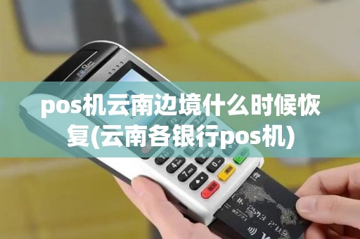 pos机云南边境什么时候恢复(云南各银行pos机)
