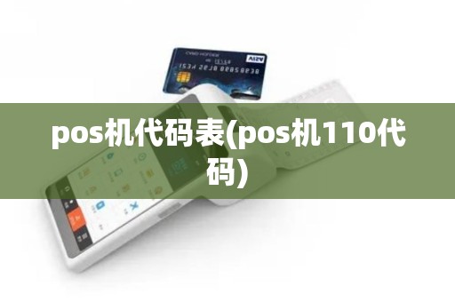 pos机代码表(pos机110代码)
