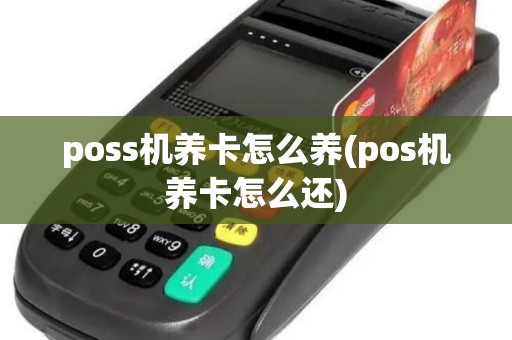 poss机养卡怎么养(pos机养卡怎么还)