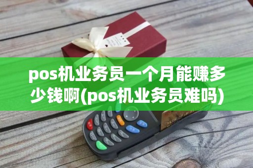 pos机业务员一个月能赚多少钱啊(pos机业务员难吗)