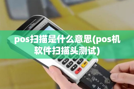 pos扫描是什么意思(pos机软件扫描头测试)