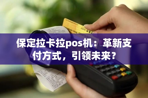 保定拉卡拉pos机：革新支付方式，引领未来？