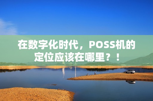 在数字化时代，POSS机的定位应该在哪里？！
