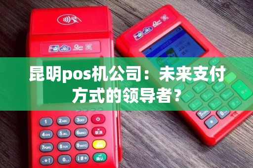 昆明pos机公司：未来支付方式的领导者？