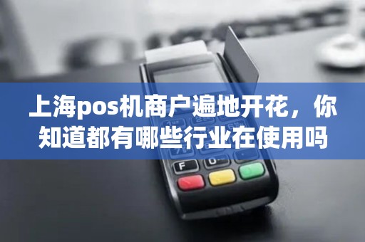 上海pos机商户遍地开花，你知道都有哪些行业在使用吗？