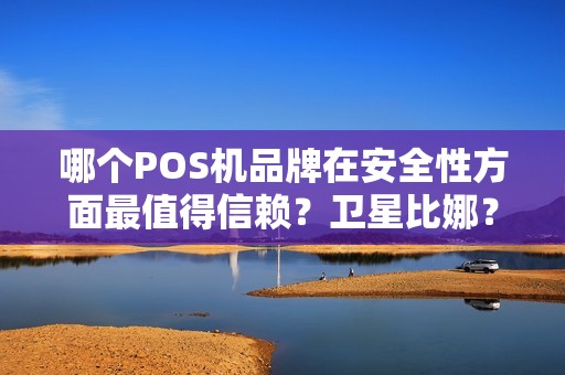 哪个POS机品牌在安全性方面最值得信赖？卫星比娜？惠普？还是其他品牌？