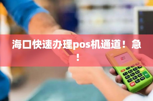 海口快速办理pos机通道！急！