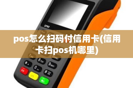 pos怎么扫码付信用卡(信用卡扫pos机哪里)