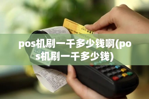 pos机刷一千多少钱啊(pos机刷一千多少钱)