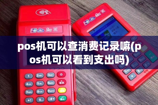 pos机可以查消费记录嘛(pos机可以看到支出吗)