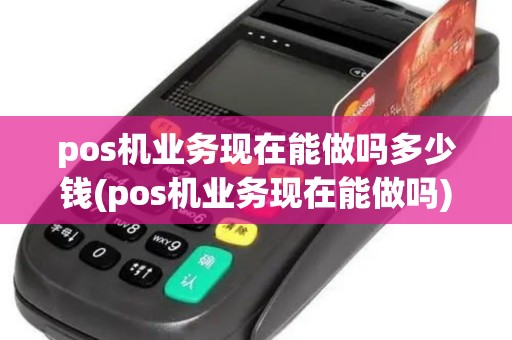 pos机业务现在能做吗多少钱(pos机业务现在能做吗)