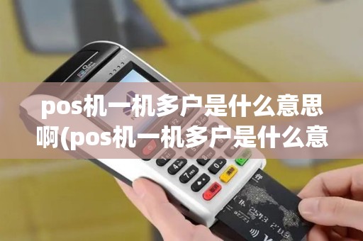 pos机一机多户是什么意思啊(pos机一机多户是什么意思)